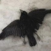 沈霜璃